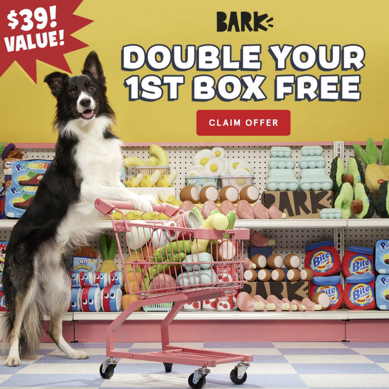 BarkBox March 2024 coupon free